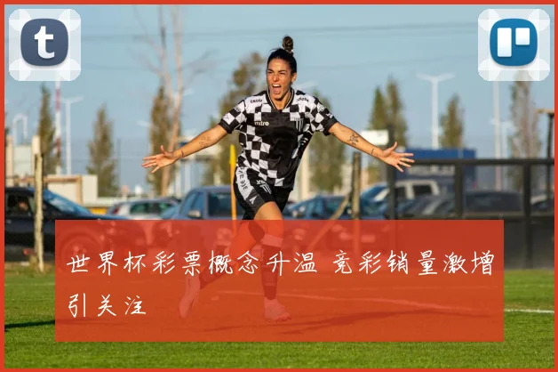 世界杯彩票概念升温 竞彩销量激增引关注
