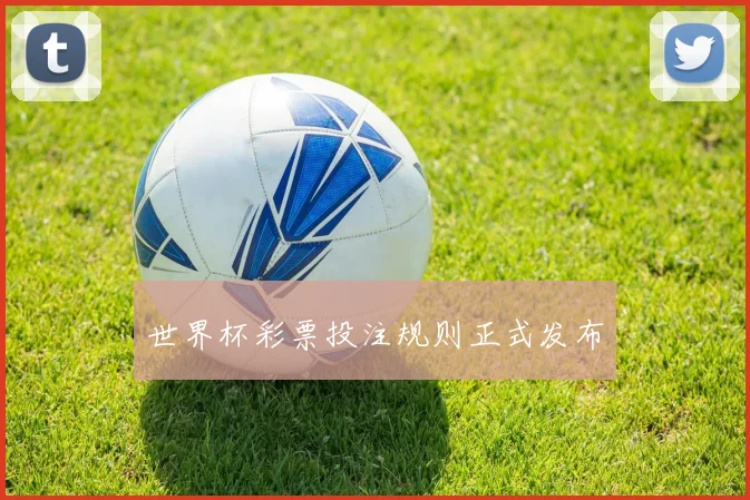 世界杯彩票投注规则正式发布