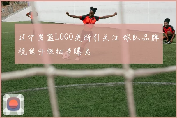 辽宁男篮LOGO更新引关注 球队品牌视觉升级细节曝光