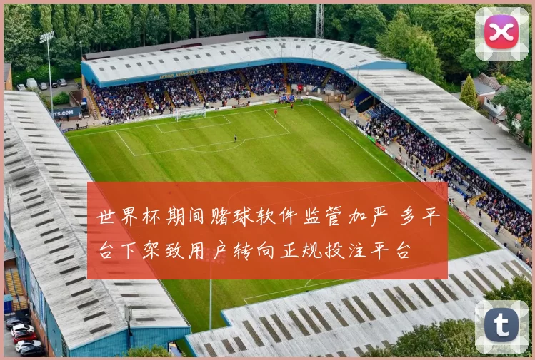 世界杯期间赌球软件监管加严 多平台下架致用户转向正规投注平台