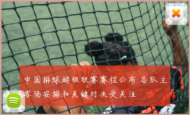 中国排球超级联赛赛程公布 各队主客场安排和关键对决受关注