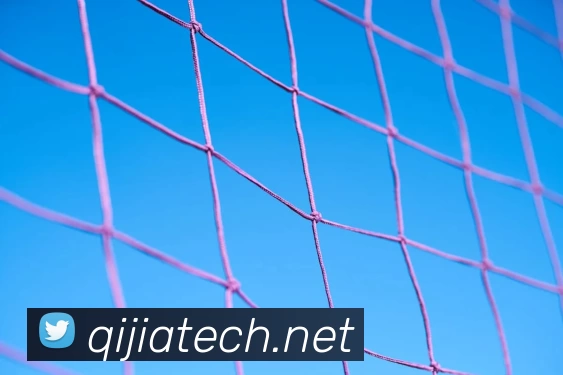 球王会·(中国)体育官方网站服务体系