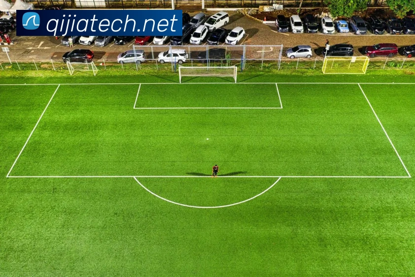 AI Risk Control